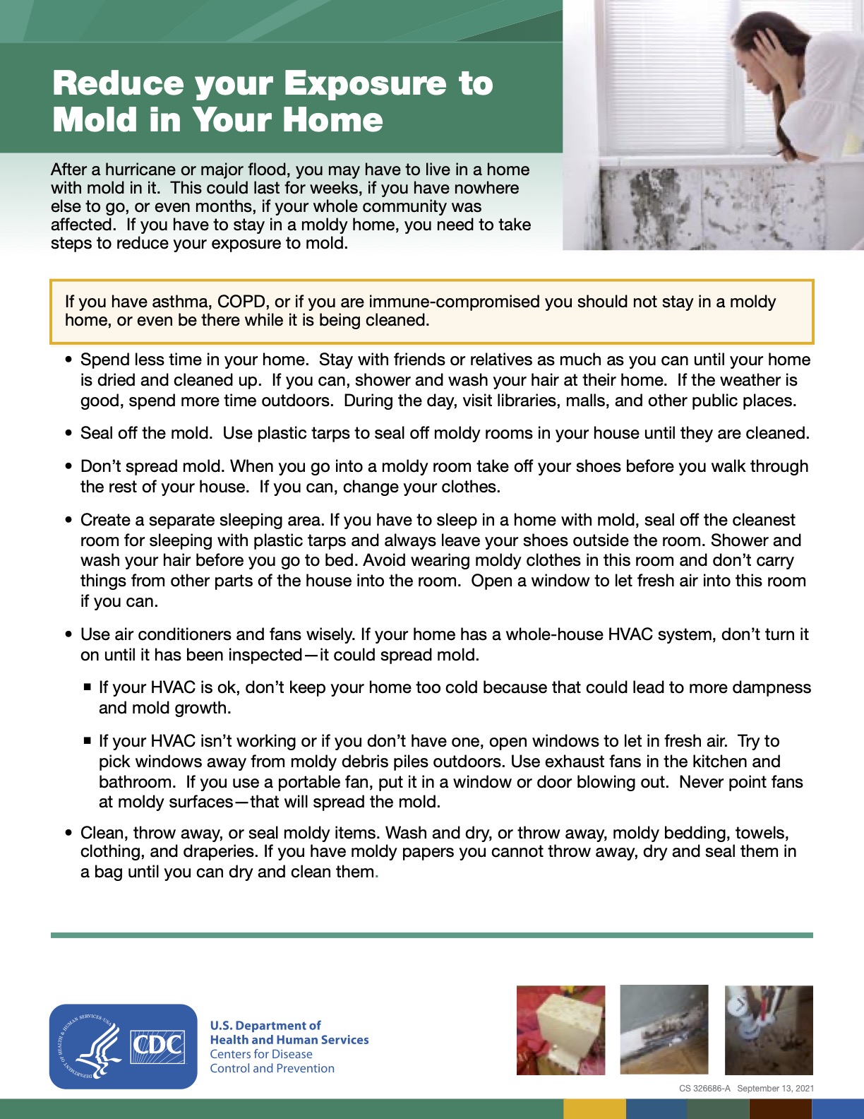 Reduce Your Exposure to Mold in Your Home - Moldli - Mold Exposure Prevention For Landlords